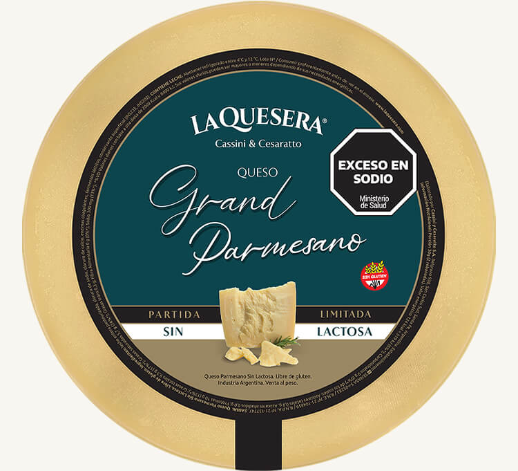 horma-queso-gran-parmesano-la-quesera